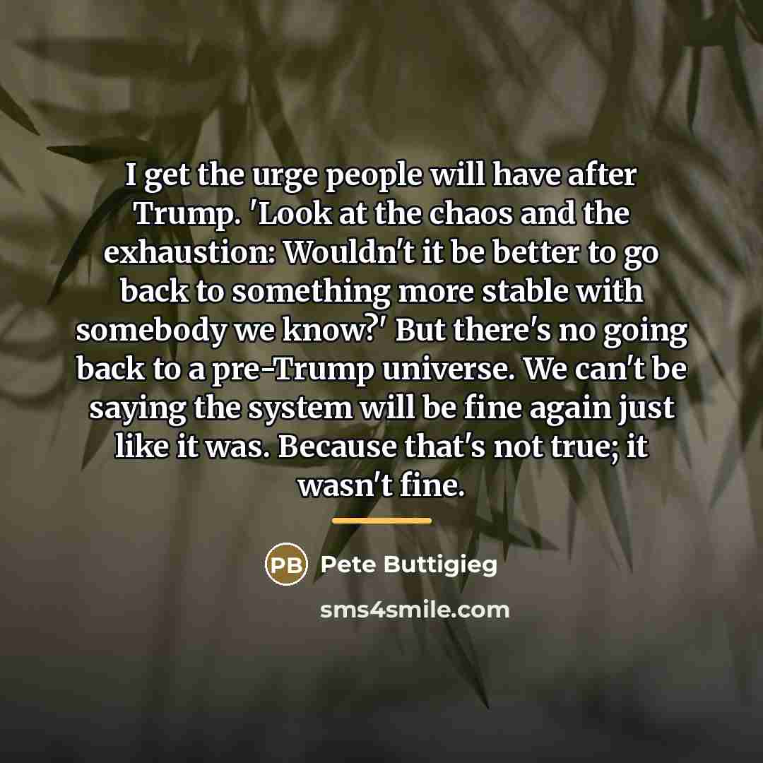 “I get the urge people will have after Trump. 'Look…” quote by Pete Buttigieg