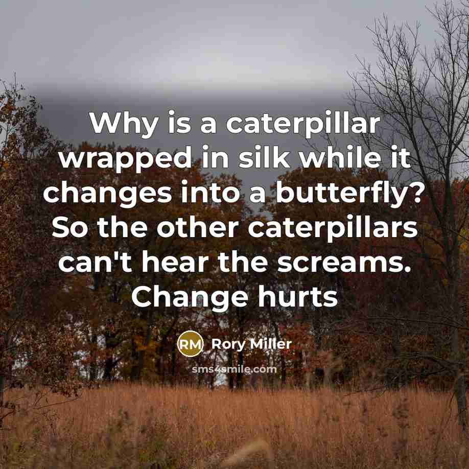 “Why is a caterpillar wrapped in silk while it changes…” quote by Rory Miller