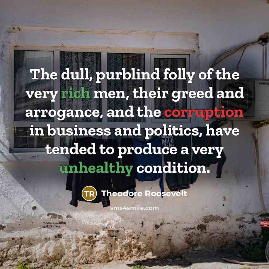 “The dull, purblind folly of the very rich men, their…” quote by Theodore Roosevelt