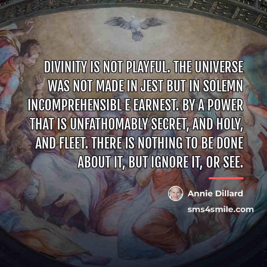 “Divinity is not playful. The universe was not made in…” quote by Annie Dillard