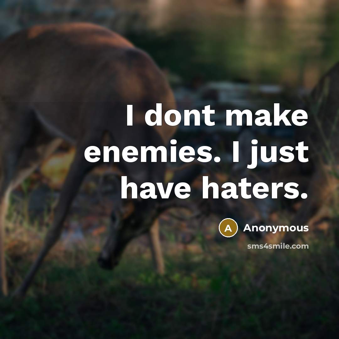“I dont make enemies. I just have haters.” quote by Anonymous