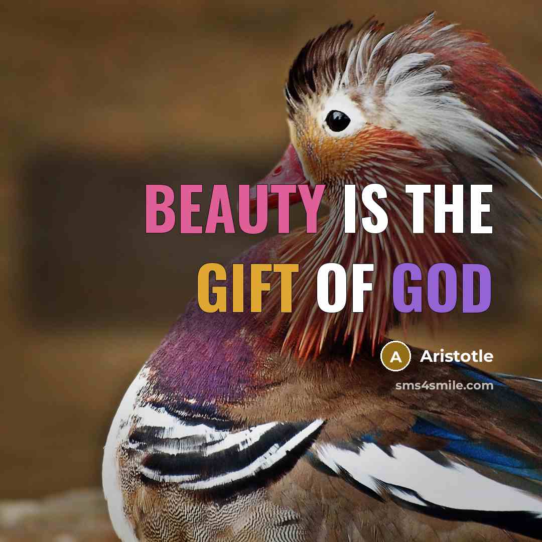 “Beauty is the gift of God…” quote by Aristotle