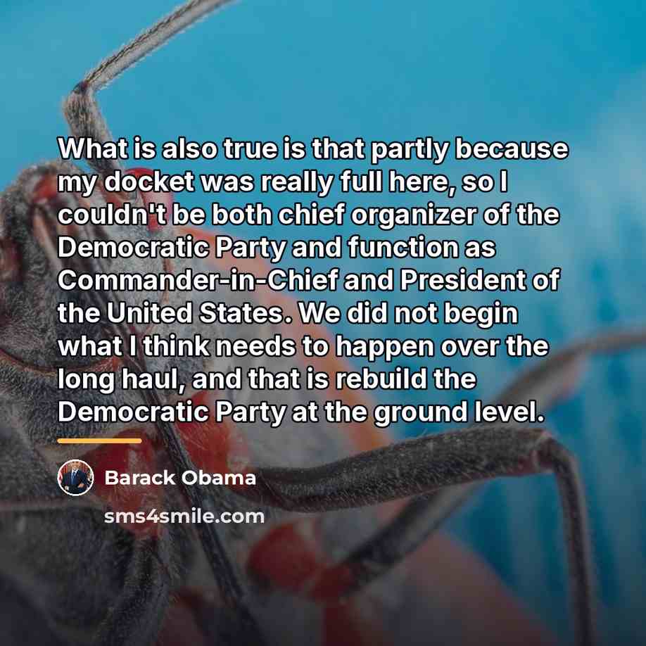 “What is also true is that partly because my docket…” quote by Barack Obama