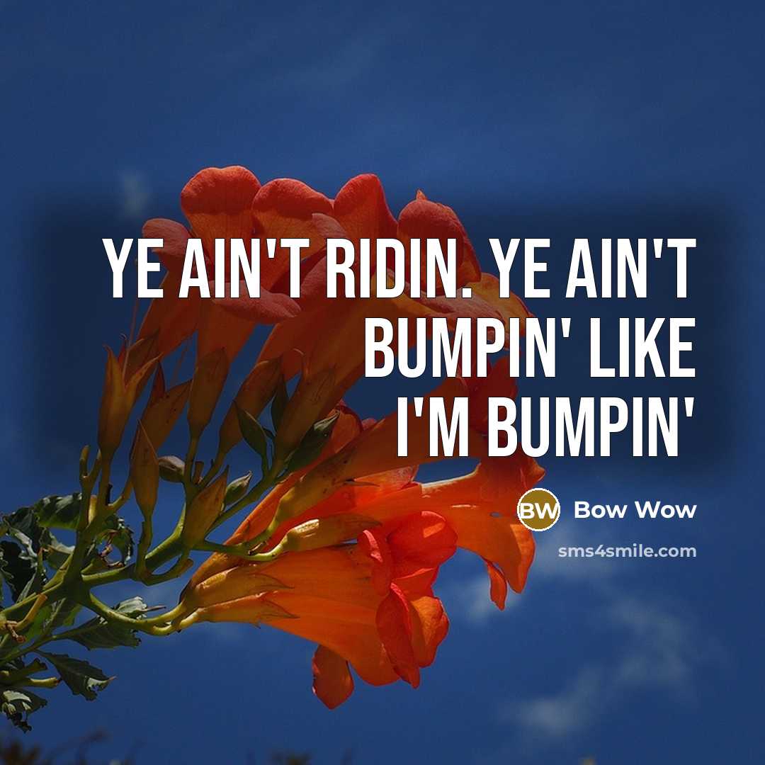 “Ye ain't ridin. Ye ain't bumpin' like I'm bumpin'…” quote by Bow Wow