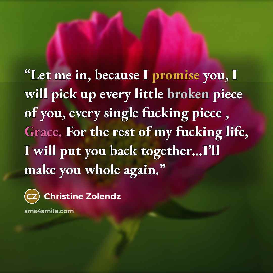 “Let me in, because I promise you, I will pick up every little broken piece of you, every single fucking piece , Grace. For the rest of my fucking life, I will put you back together…I’ll make you whole again.” quote by Christine Zolendz