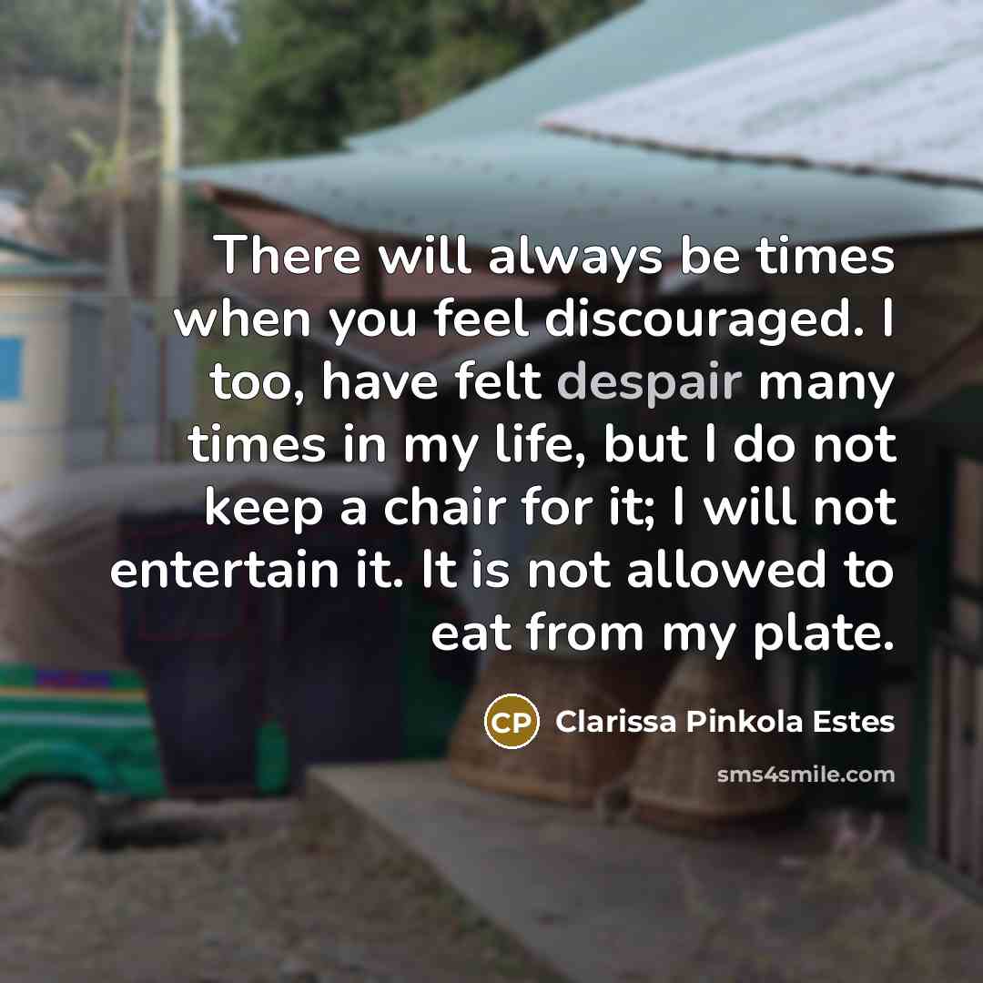 “There will always be times when you feel discouraged. I…” quote by Clarissa Pinkola Estes