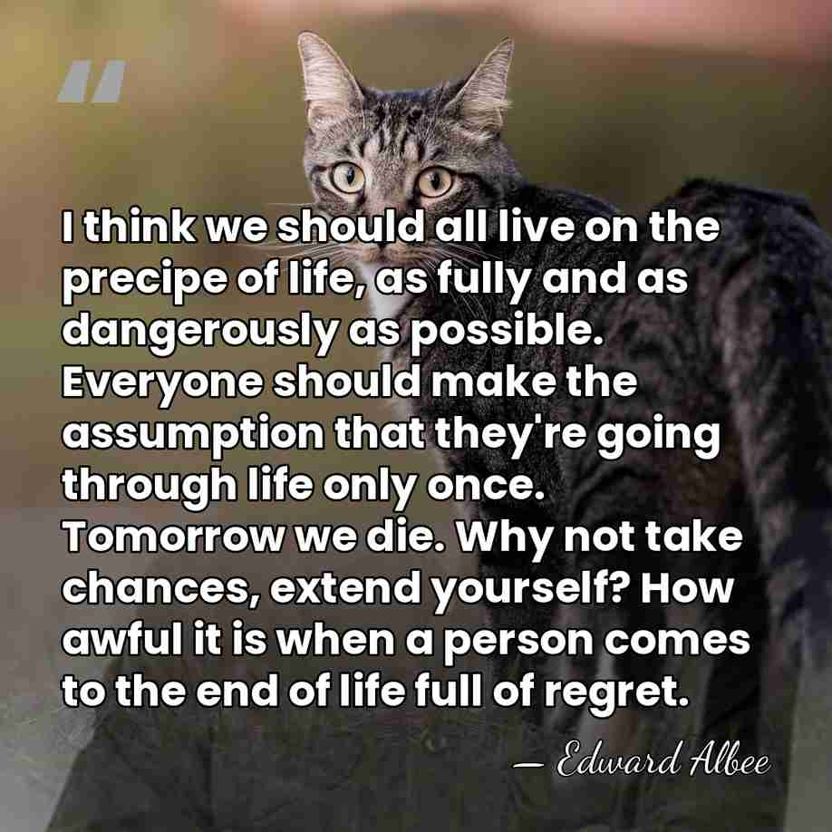 I think we should all live on the precipe of life, as&hellip; - Edward Albee