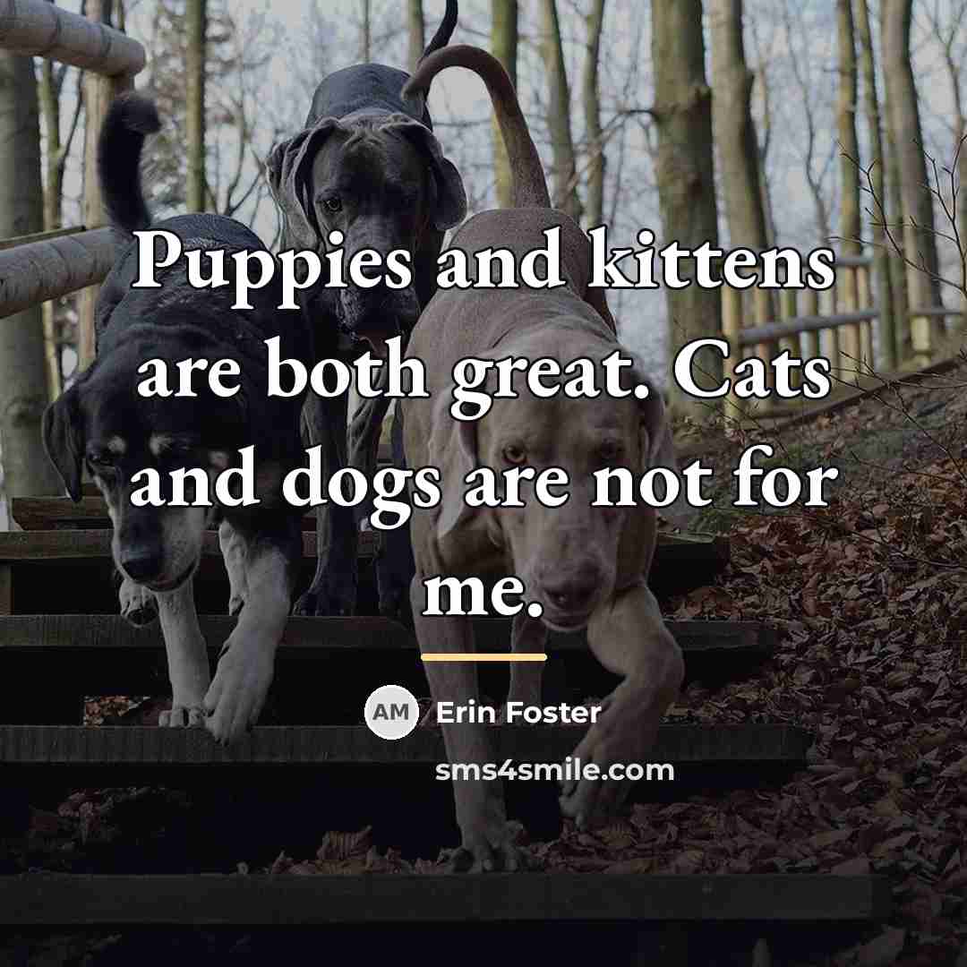 “Puppies and kittens are both great. Cats and dogs are…” quote by Erin Foster