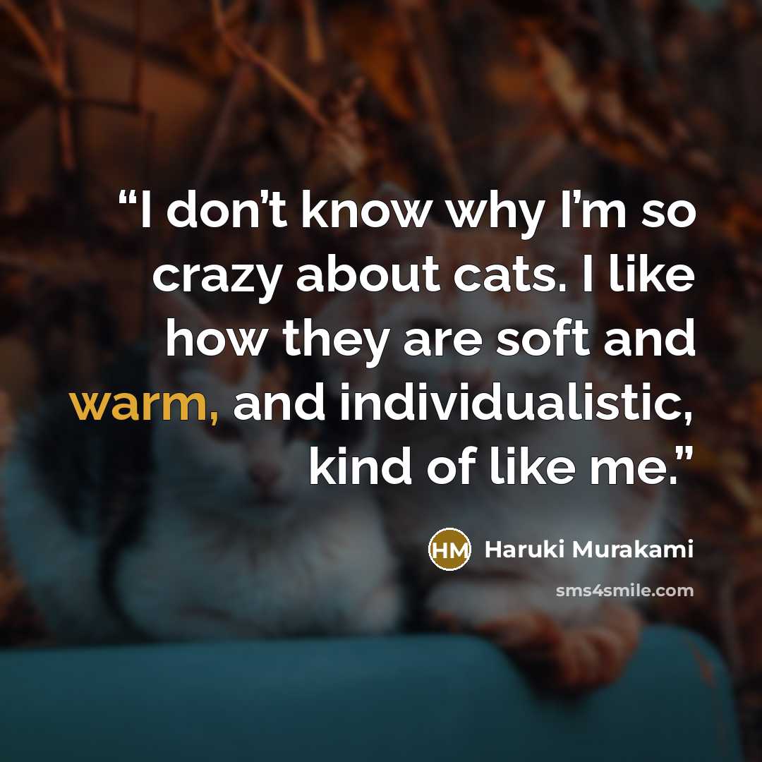 “I don’t know why I’m so crazy about cats. I like how they are soft and warm, and individualistic, kind of like me.” quote by Haruki Murakami