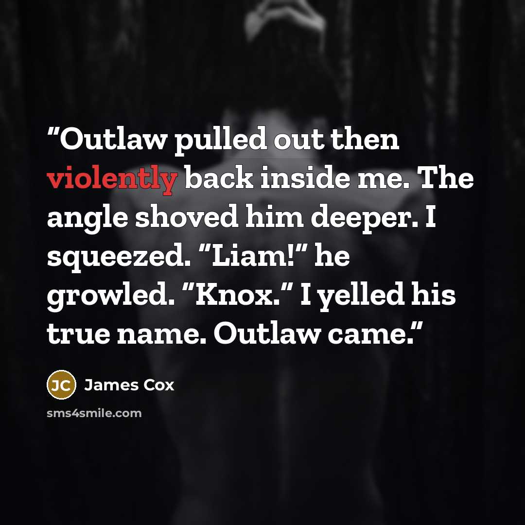 “Outlaw pulled out then violently back inside me. The angle shoved him deeper. I squeezed. “Liam!” he growled. “Knox.” I yelled his true name. Outlaw came.” quote by James Cox