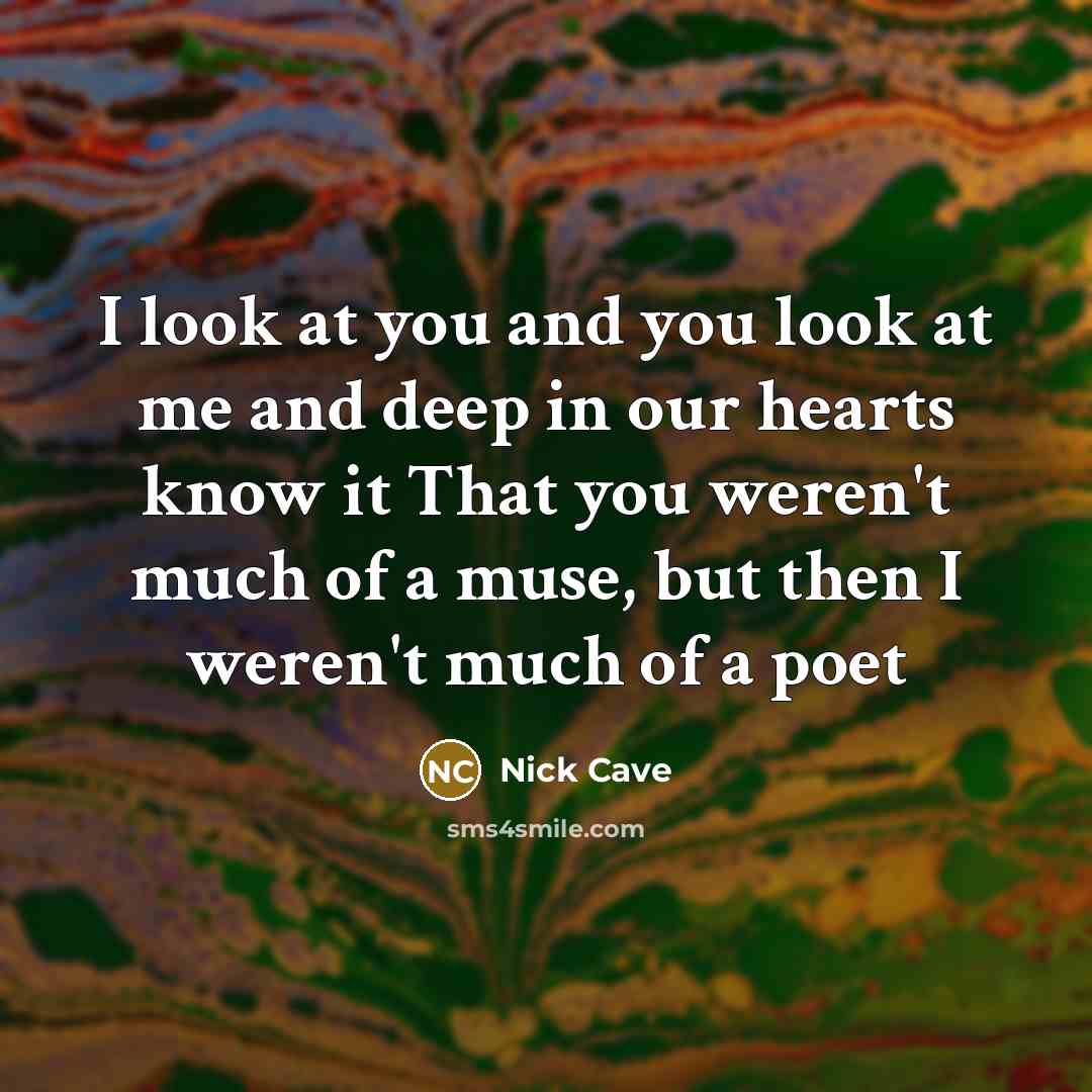 “I look at you and you look at me and…” quote by Nick Cave