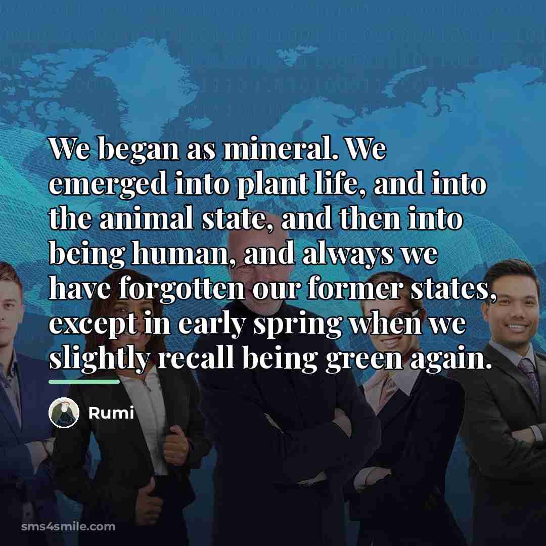 “We began as mineral. We emerged into plant life, and…” quote by Rumi