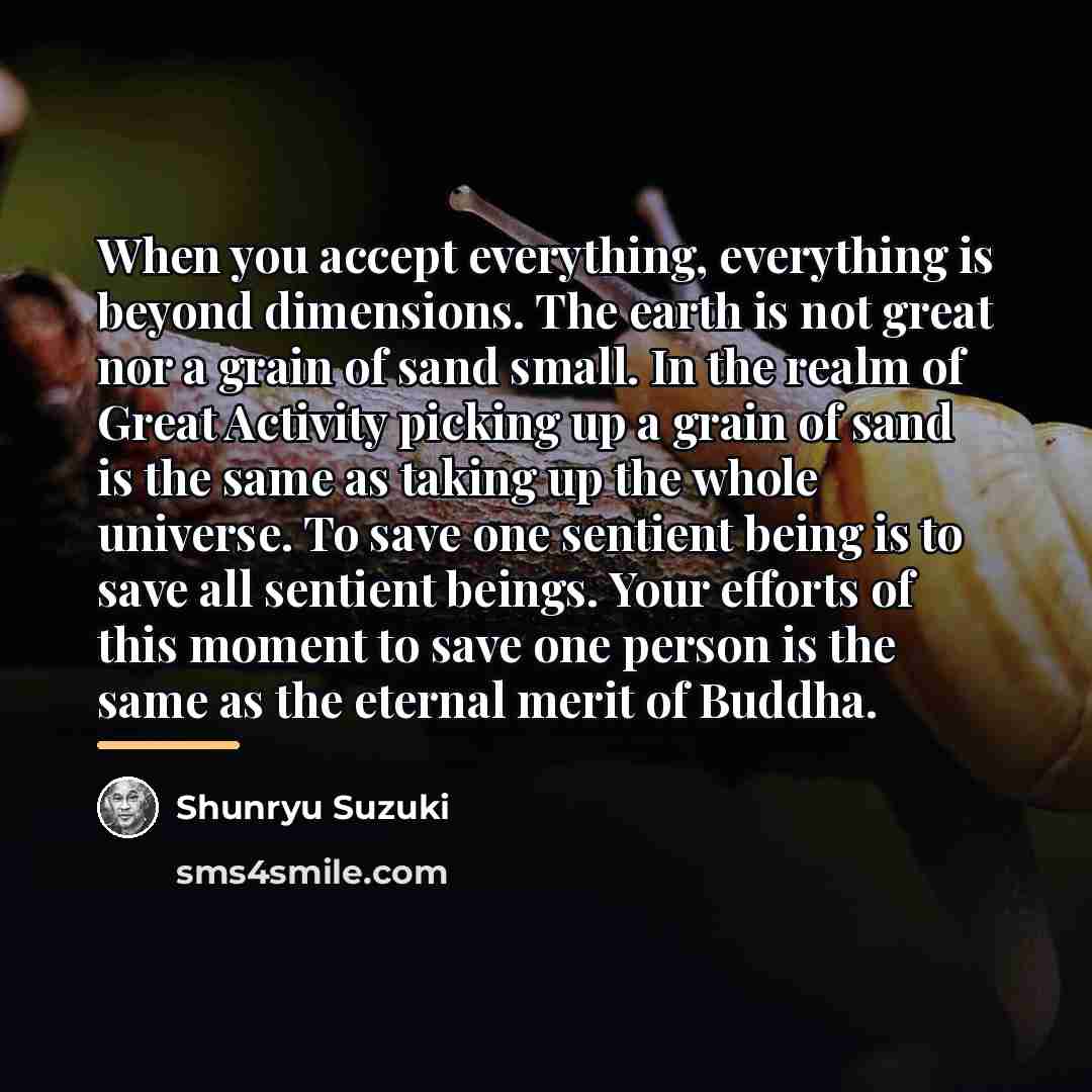 “When you accept everything, everything is beyond dimensions. The earth…” quote by Shunryu Suzuki