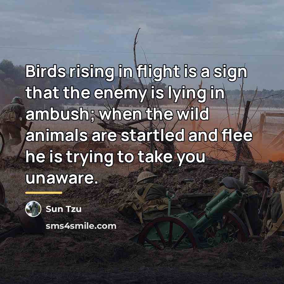 “Birds rising in flight is a sign that the enemy…” quote by Sun Tzu