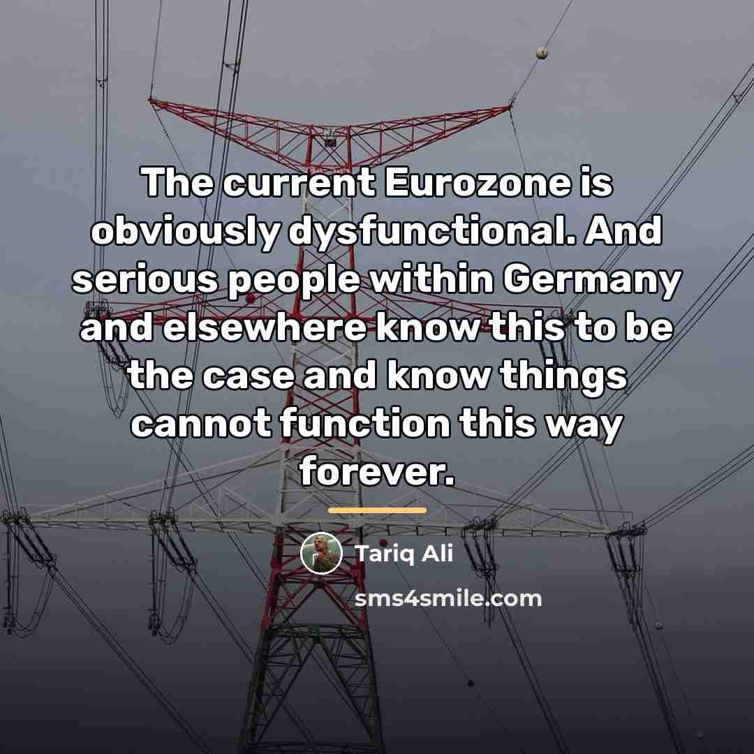 “The current Eurozone is obviously dysfunctional. And serious people within…” quote by Tariq Ali