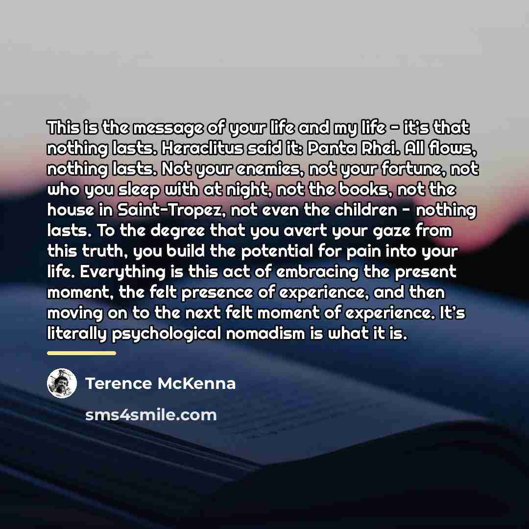 “This is the message of your life and my life…” quote by Terence McKenna