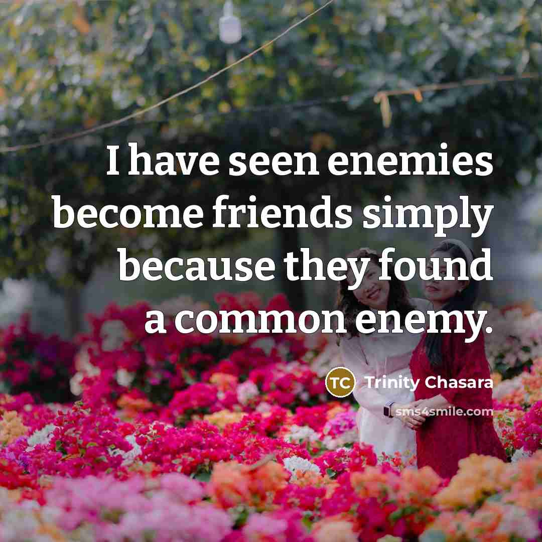 “I have seen enemies become friends simply because they found…” quote by Trinity Chasara