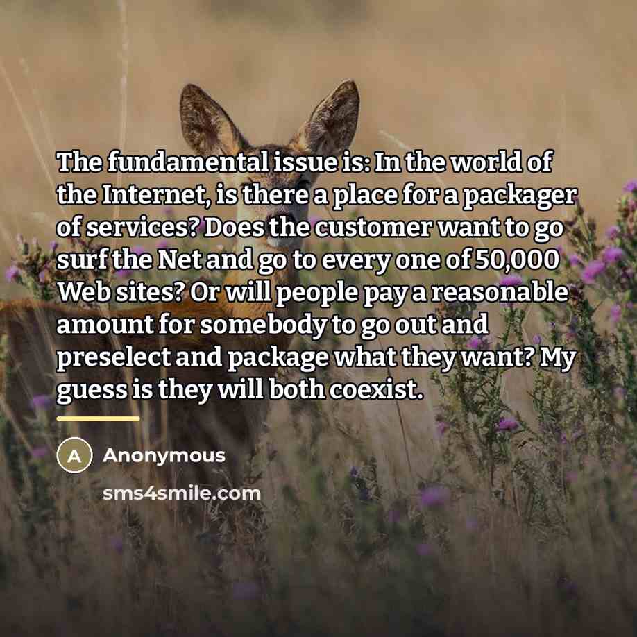 “The fundamental issue is: In the world of the Internet,…” quote by Anonymous