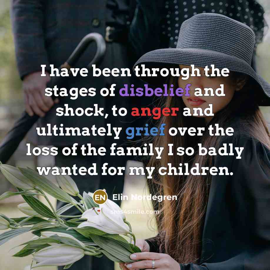 “I have been through the stages of disbelief and shock,…” quote by Elin Nordegren