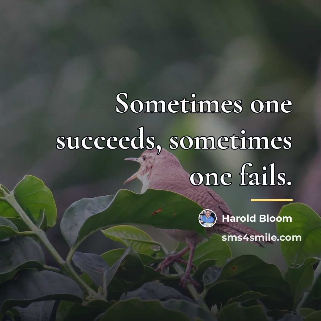 “Sometimes one succeeds, sometimes one fails.…” quote by Harold Bloom