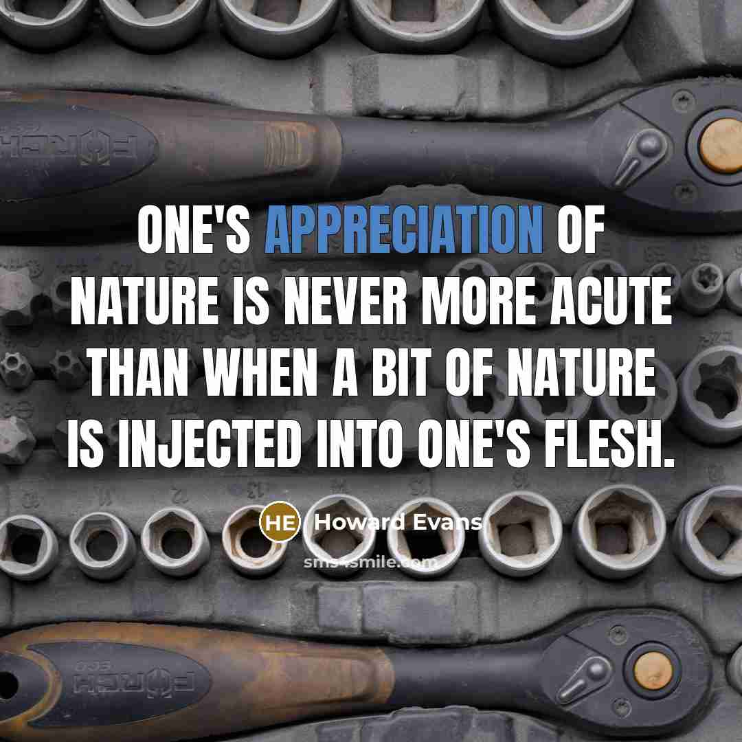 “One's appreciation of nature is never more acute than when…” quote by Howard Evans