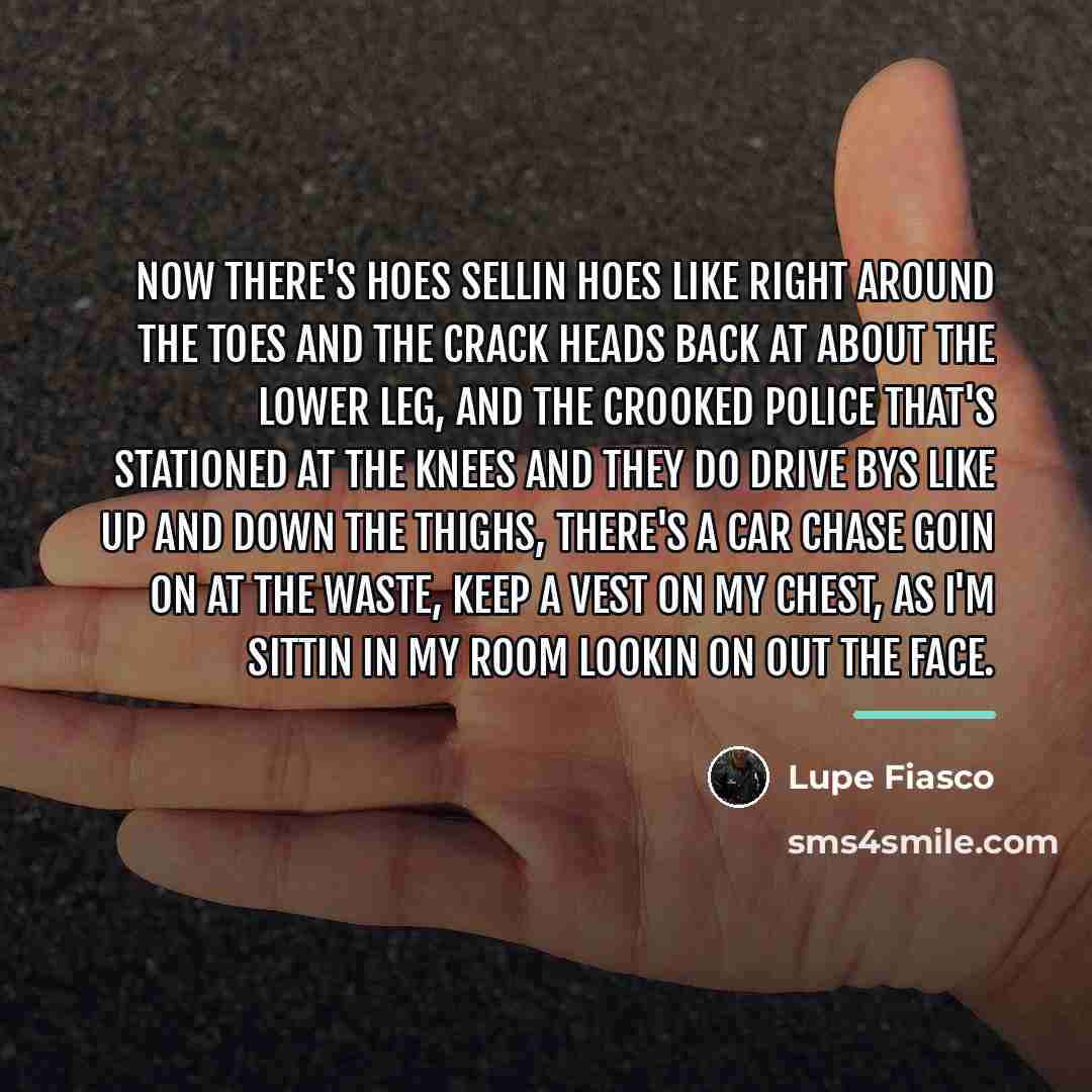 “Now there's hoes sellin hoes like right around the toes…” quote by Lupe Fiasco
