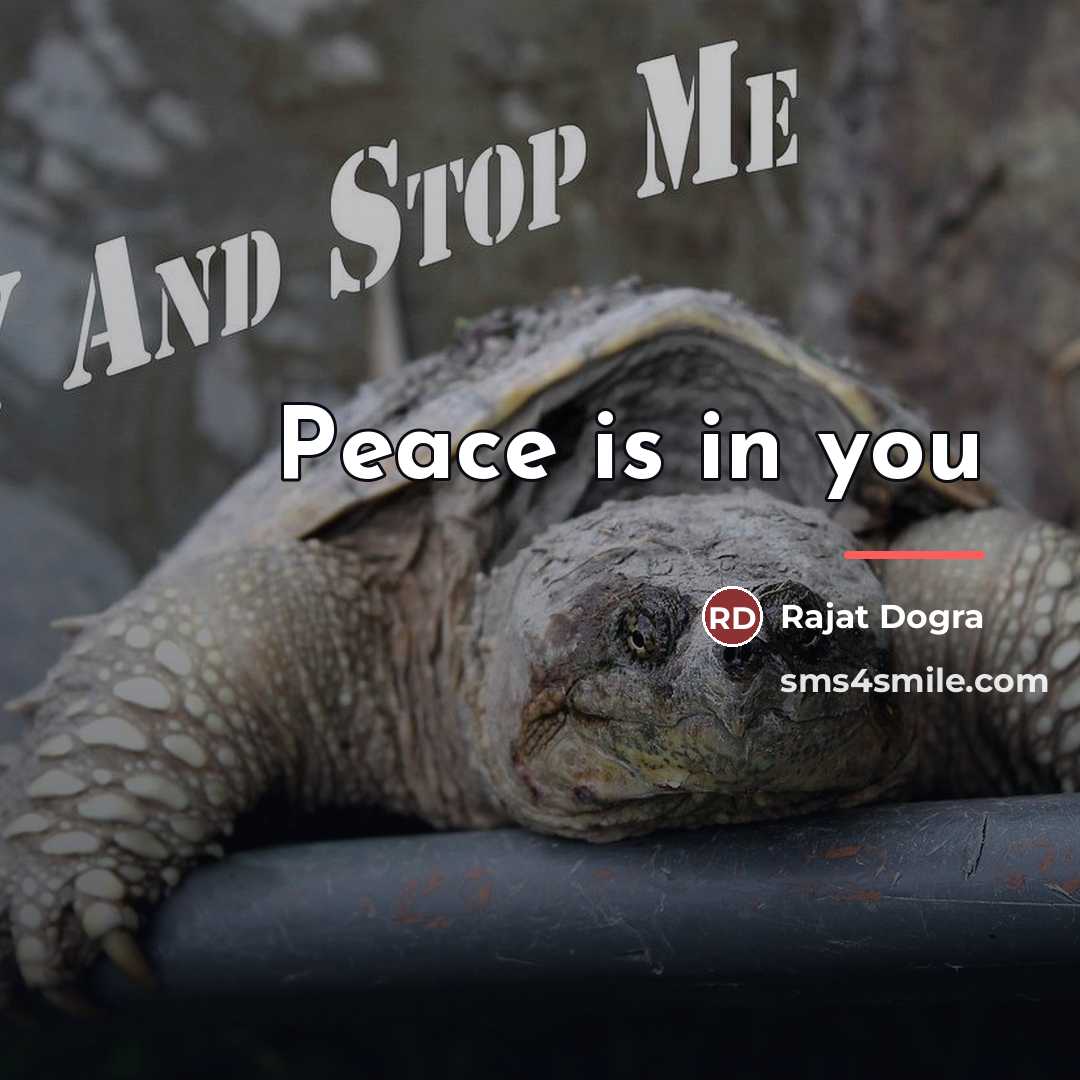 “Peace is in you…” quote by Rajat Dogra