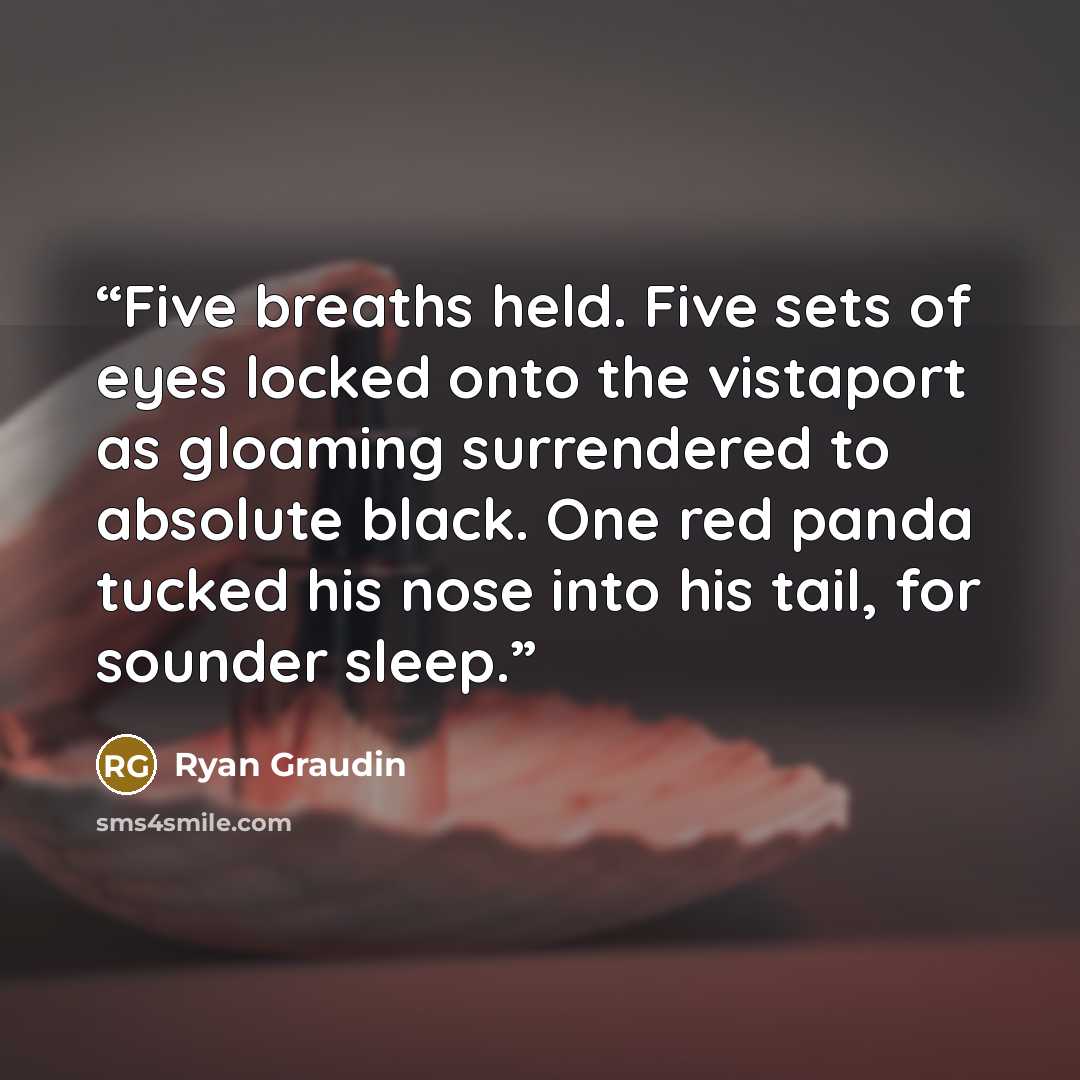 “Five breaths held. Five sets of eyes locked onto the vistaport as gloaming surrendered to absolute black. One red panda tucked his nose into his tail, for sounder sleep.” quote by Ryan Graudin