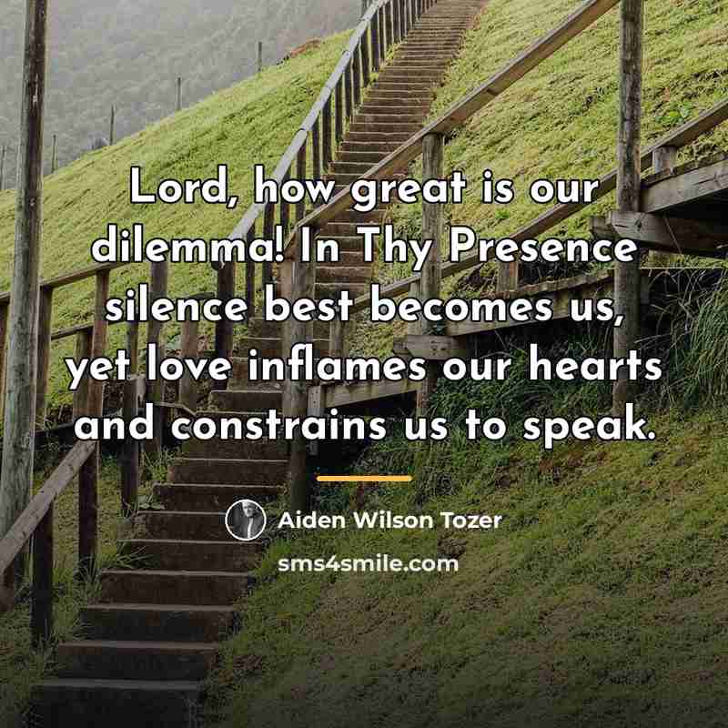 “Lord, how great is our dilemma! In Thy Presence silence…” quote by Aiden Wilson Tozer