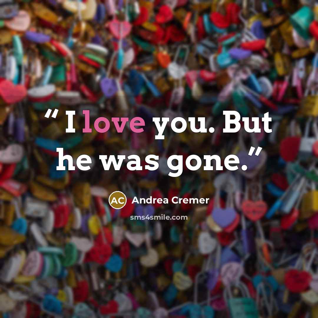 “I love you. But he was gone.” quote by Andrea Cremer
