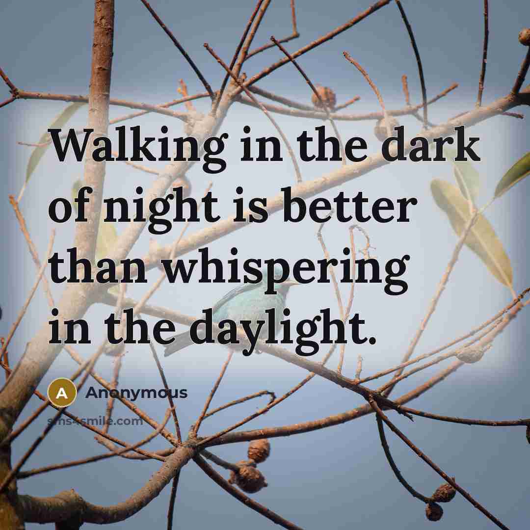 “Walking in the dark of night is better than whispering…” quote by Anonymous