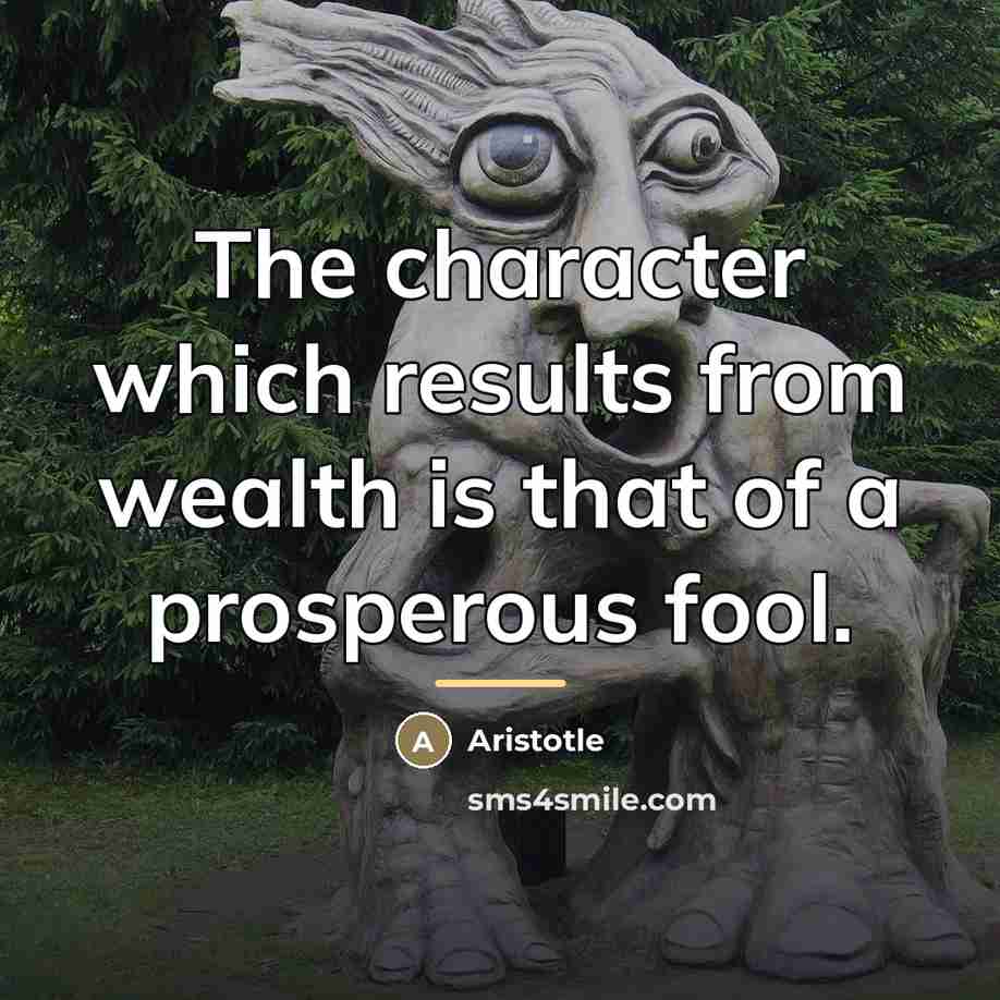 “The character which results from wealth is that of a…” quote by Aristotle