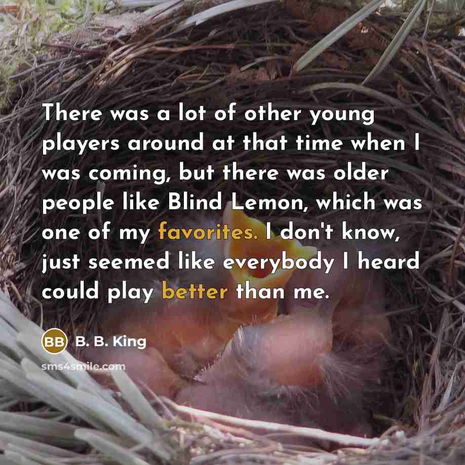 “There was a lot of other young players around at…” quote by B. B. King