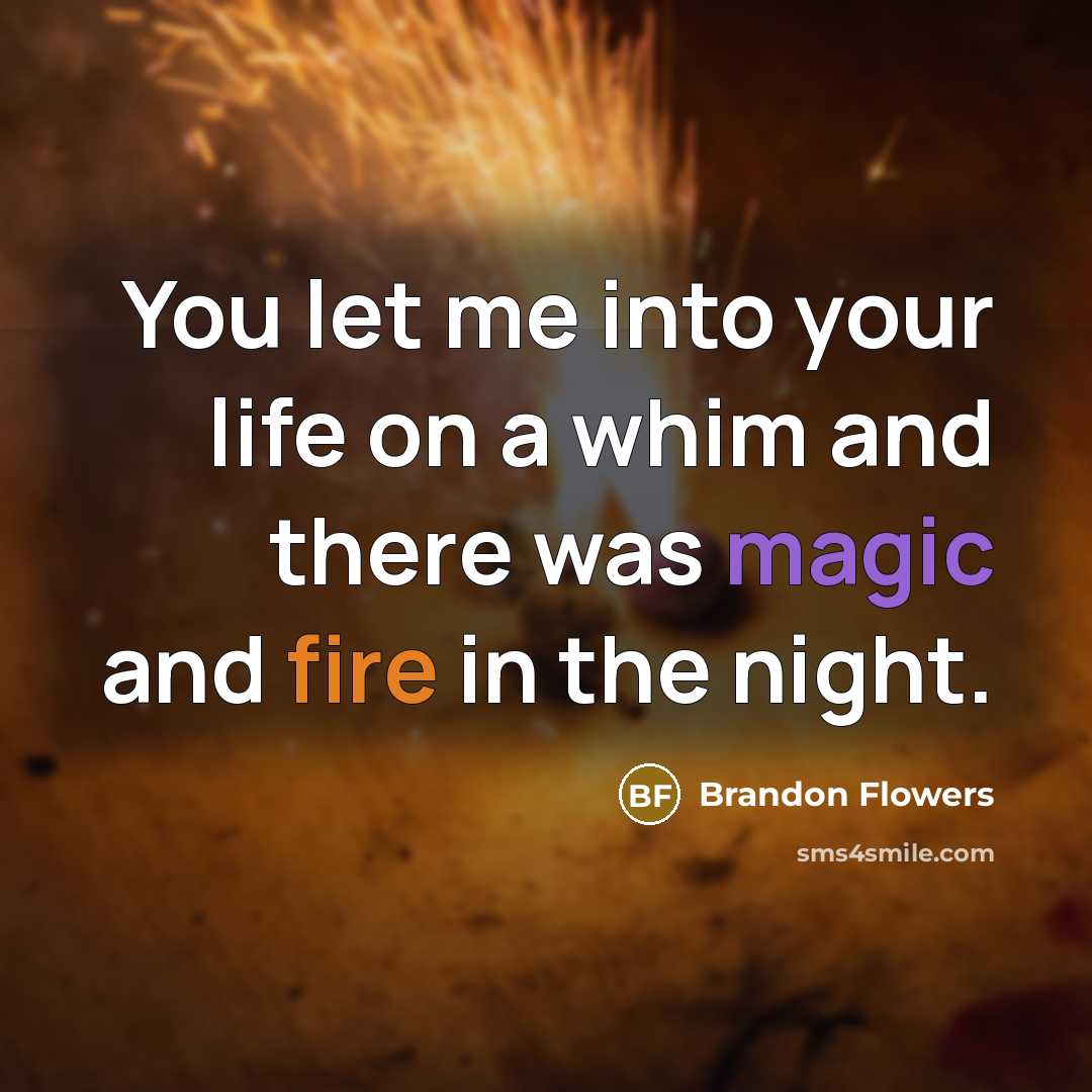 “You let me into your life on a whim and…” quote by Brandon Flowers