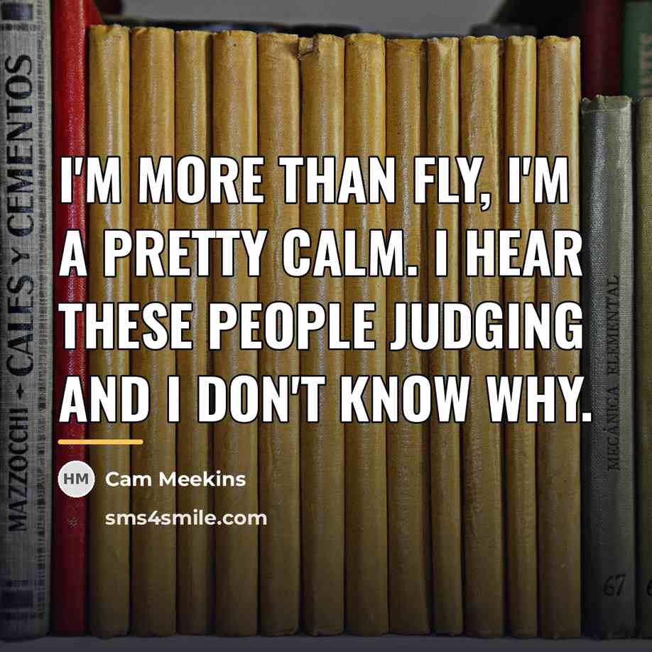 “I'm more than fly, I'm a pretty calm. I hear…” quote by Cam Meekins