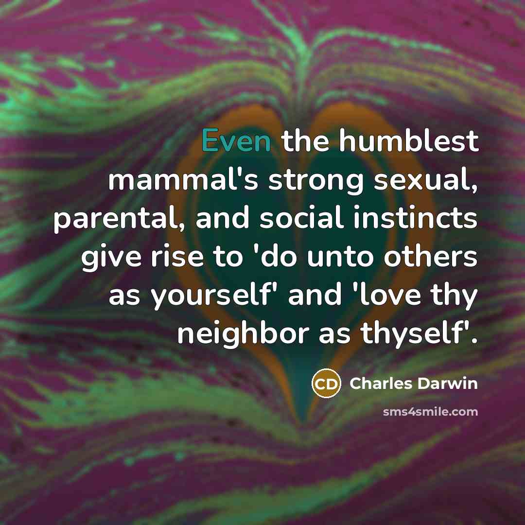 “Even the humblest mammal's strong sexual, parental, and social instincts…” quote by Charles Darwin