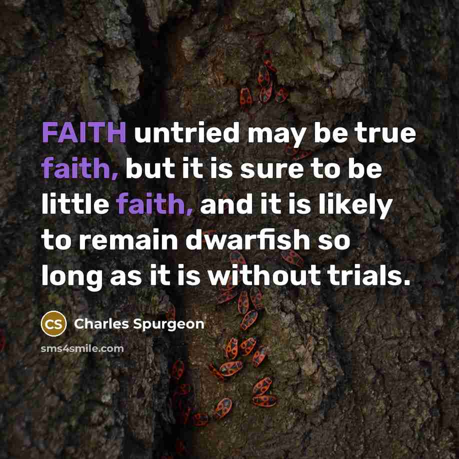 “FAITH untried may be true faith, but it is sure…” quote by Charles Spurgeon