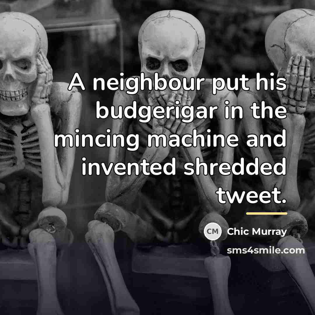 “A neighbour put his budgerigar in the mincing machine and…” quote by Chic Murray