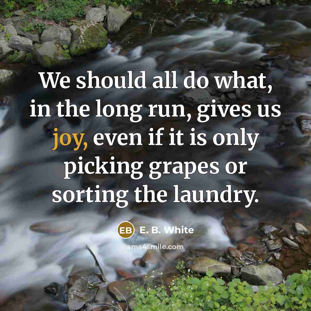 “We should all do what, in the long run, gives…” quote by E. B. White