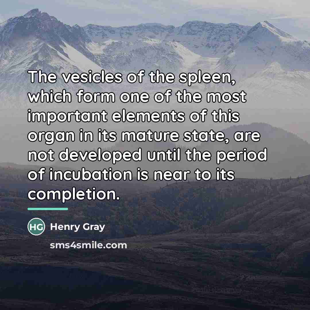 “The vesicles of the spleen, which form one of the…” quote by Henry Gray