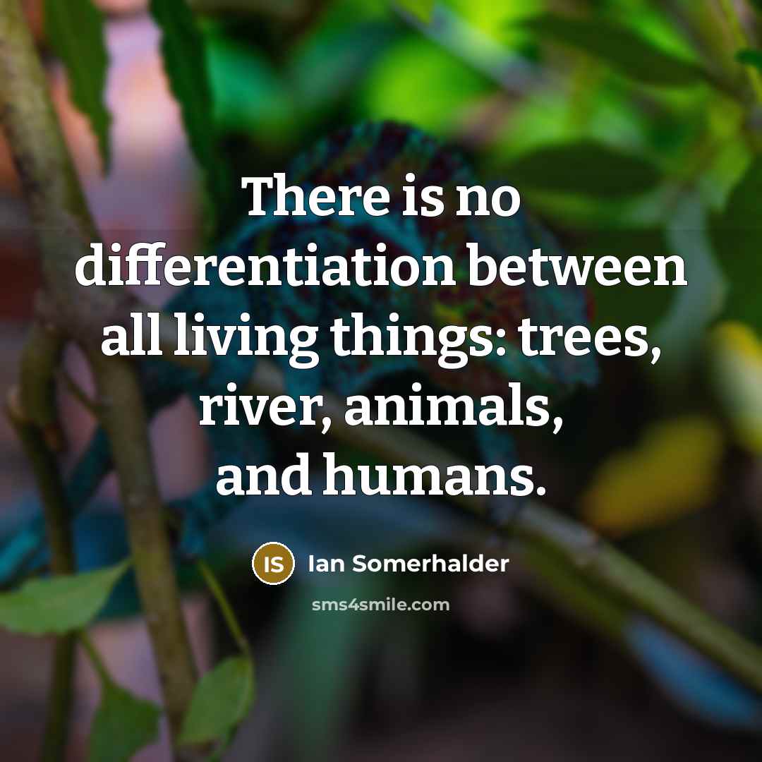 “There is no differentiation between all living things: trees, river,…” quote by Ian Somerhalder