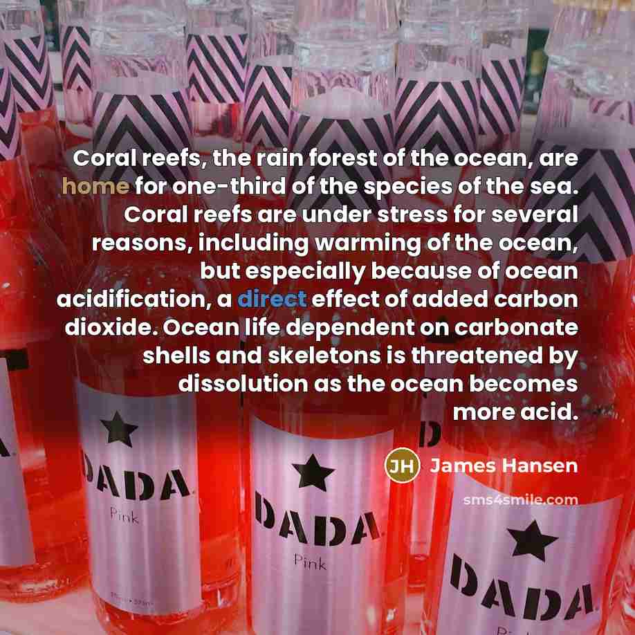 “Coral reefs, the rain forest of the ocean, are home…” quote by James Hansen