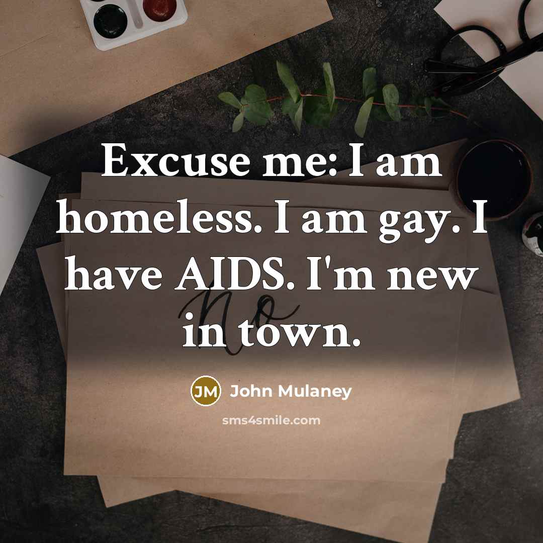 “Excuse me: I am homeless. I am gay. I have…” quote by John Mulaney