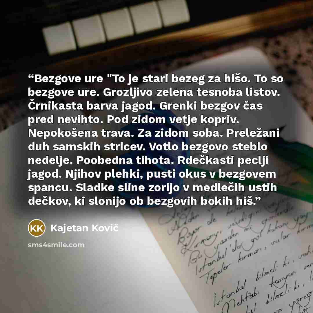 “Bezgove ure "To je stari bezeg za hišo. To so bezgove ure. Grozljivo zelena tesnoba listov. Črnikasta barva jagod. Grenki bezgov čas pred nevihto. Pod zidom vetje kopriv. Nepokošena trava. Za zidom soba. Preležani duh samskih stricev. Votlo bezgovo steblo nedelje. Poobedna tihota. Rdečkasti peclji…” quote by Kajetan Kovič