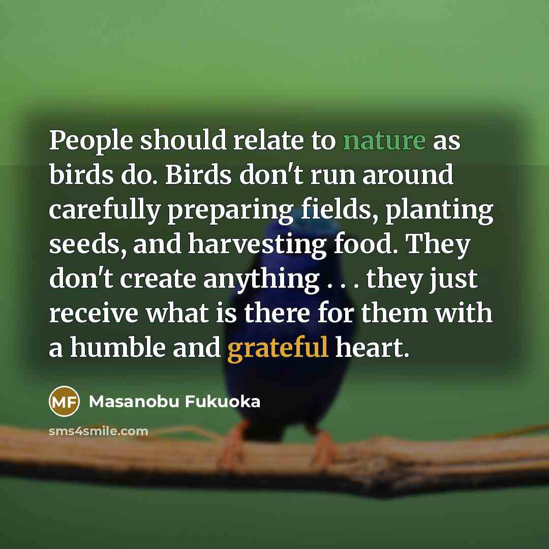 “People should relate to nature as birds do. Birds don't…” quote by Masanobu Fukuoka