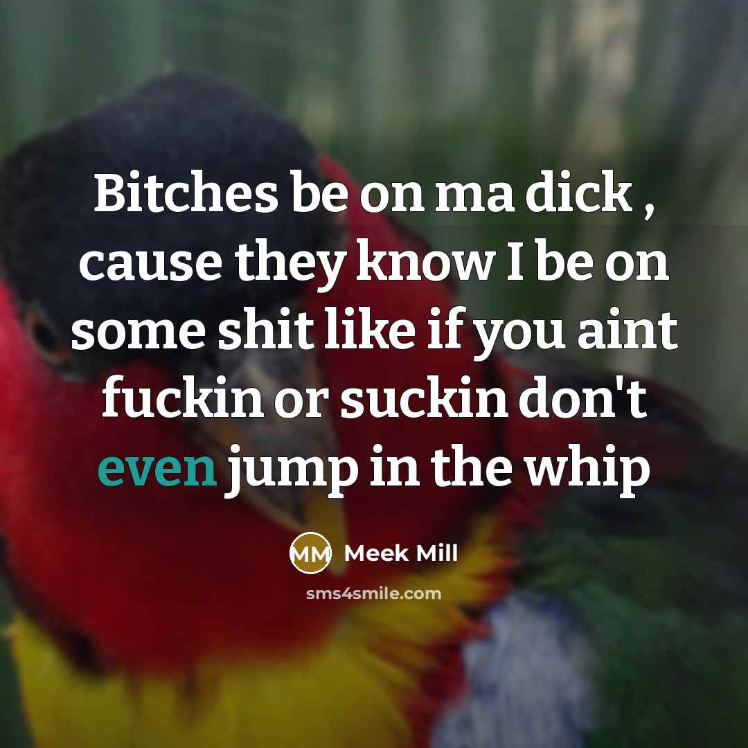 “Bitches be on ma dick , cause they know I…” quote by Meek Mill