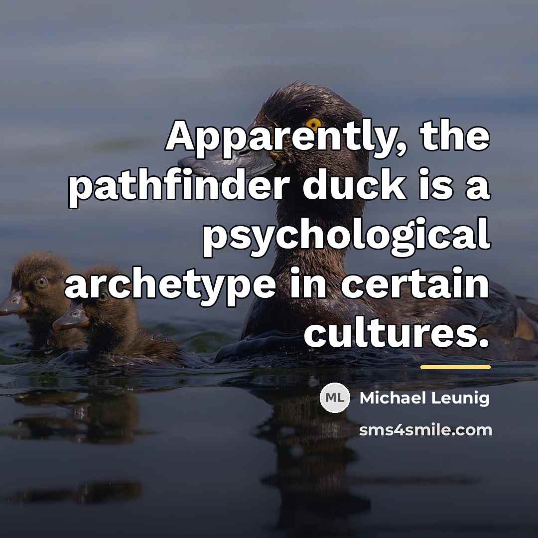 “Apparently, the pathfinder duck is a psychological archetype in certain…” quote by Michael Leunig