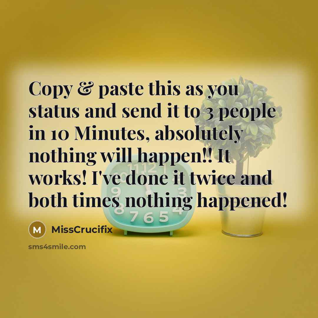 “Copy & paste this as you status and send it to 3 people in 10 Minutes, absolutely nothing will happen!! It works! I've done it twice and both times nothing happened!” quote by MissCrucifix