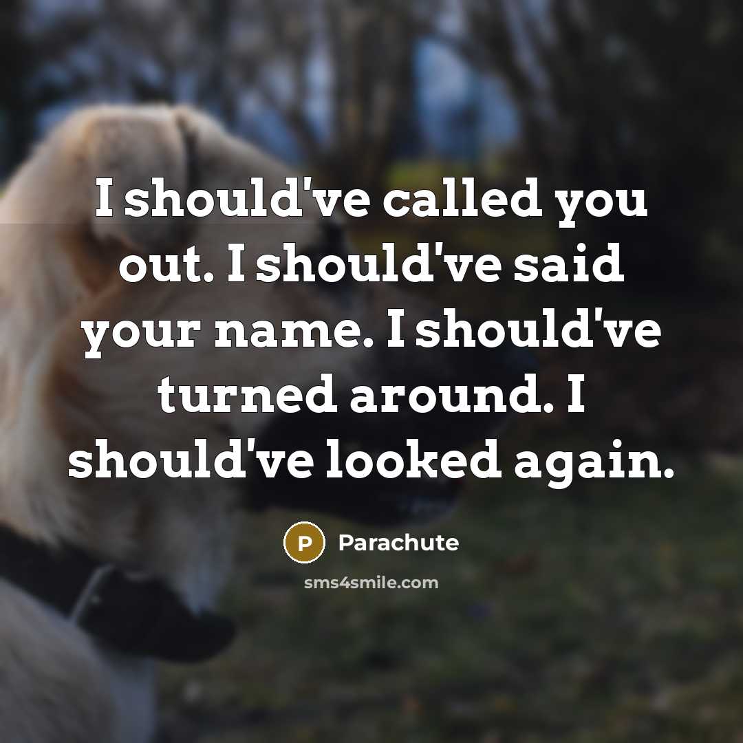 “I should've called you out. I should've said your name.…” quote by Parachute