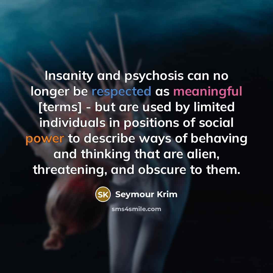 “Insanity and psychosis can no longer be respected as meaningful…” quote by Seymour Krim